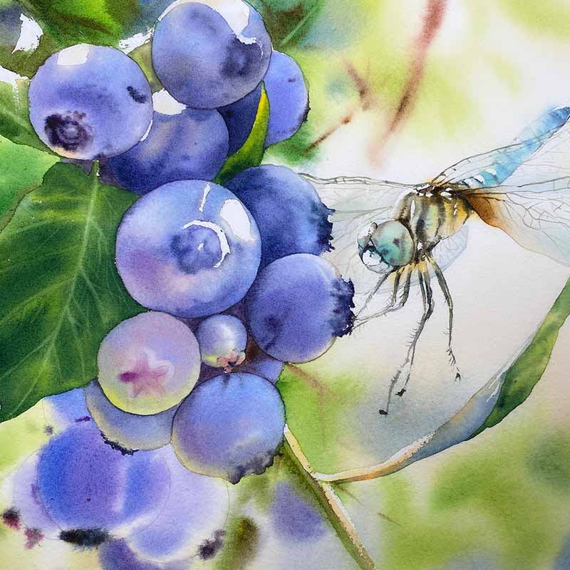 learn to paint blueberries 