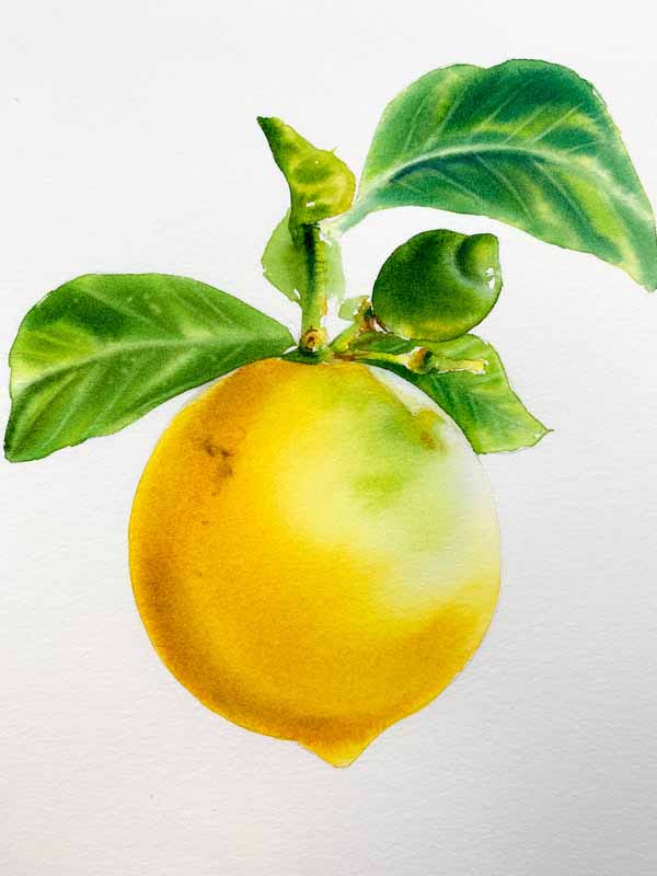 learn to paint a lemon