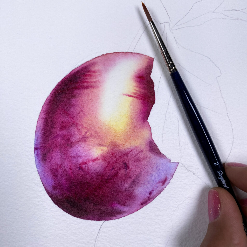 purple plum in watercolor