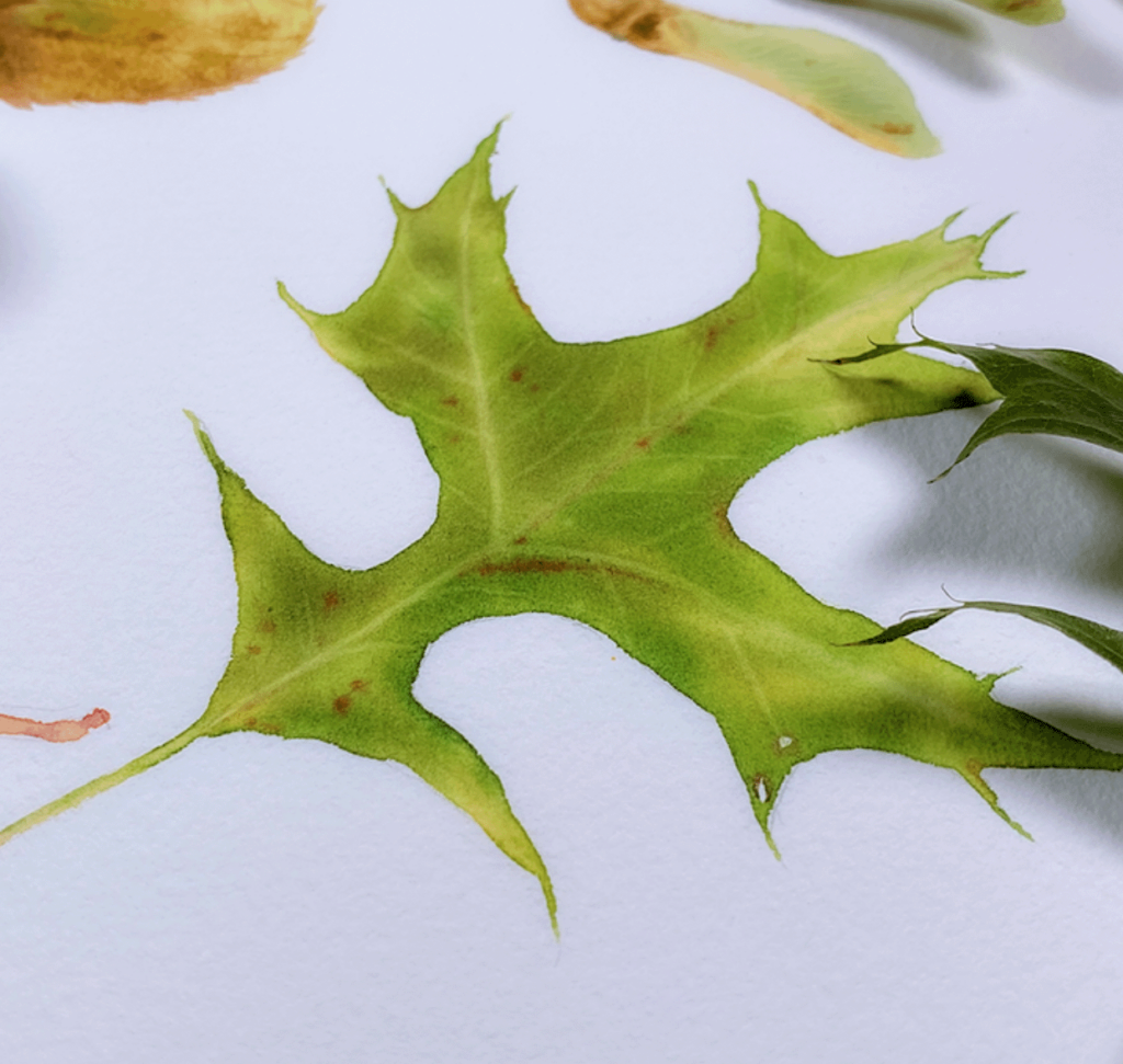 learn to paint a simple leaf