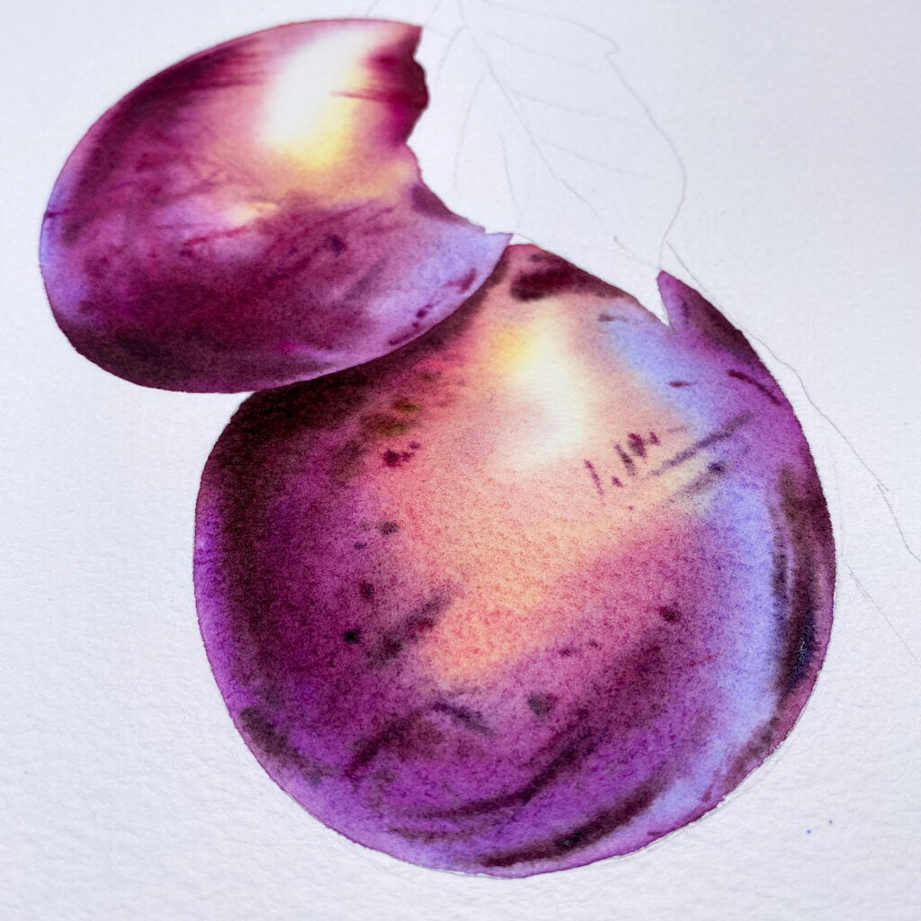 painting of a plum